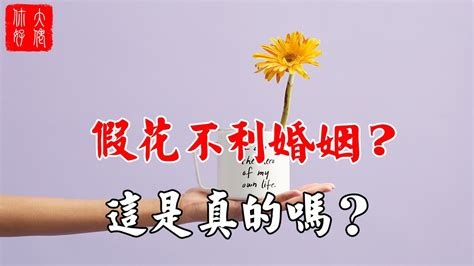 家裡放假花好嗎